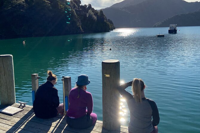 Full-Day Guided Sea Kayak Trip from Picton - Queen Charlotte Sound Paddling: The Part You Came For