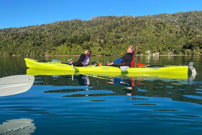 Full-Day Guided Sea Kayak Trip from Picton - Wildlife Spotting Gets Better When You Have a Guide