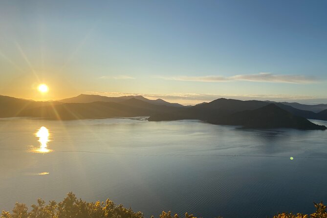 Full-Day Guided Sea Kayak Trip from Picton - What the Guide Coaching Actually Changes on the Water