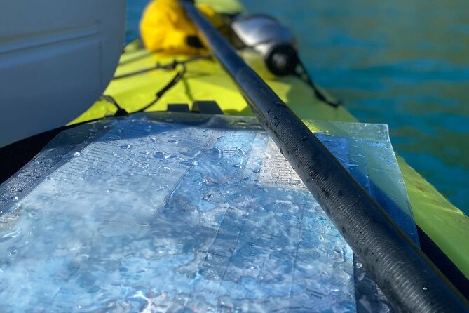 Full-Day Guided Sea Kayak Trip from Picton - Equipment Provided, So You Can Focus on Being on the Water
