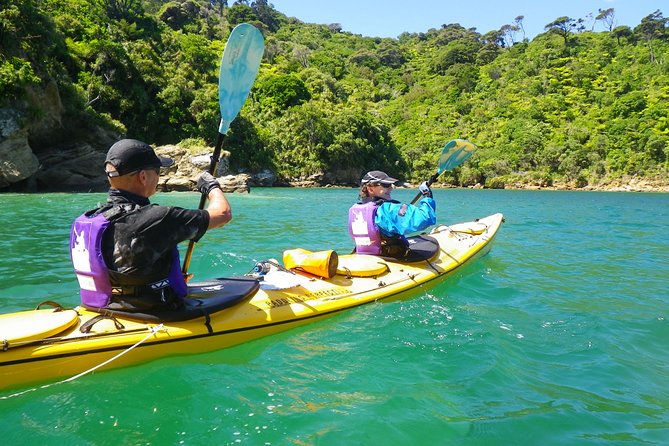 Full-Day Guided Sea Kayak Trip from Picton - Morning Tea at a Remote Beach Stop
