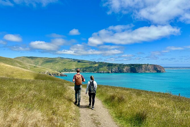 Full Day Guided Walking Tour and Picnic around Godley Head - Key things to know before you go