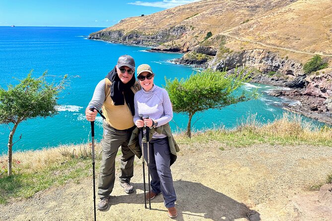 Full Day Guided Walking Tour and Picnic around Godley Head - Godley Head: crater rim views plus WWII relics and wildlife