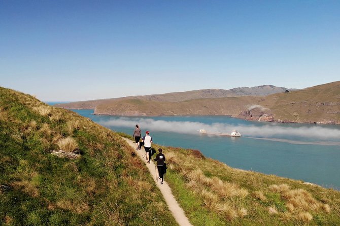 Full Day Guided Walking Tour and Picnic around Godley Head - Stop 3, Godley Head: Scott’s Hutt, penguins, guns, and the picnic break