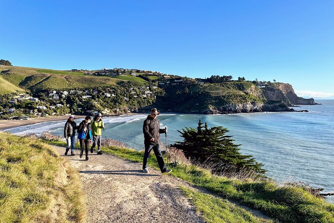 Full Day Guided Walking Tour and Picnic around Godley Head - The pacing: a 6 hour day organized around a 3 hour 8 km loop