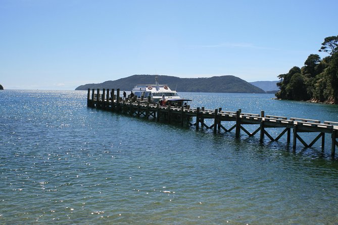 Full-Day Marlborough Catamaran Cruise with Wine Tour and Lunch - Key things I’d plan around