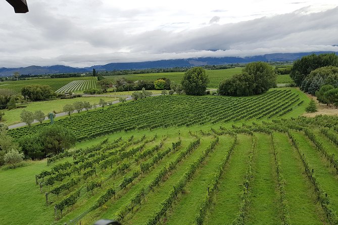 Full-Day Marlborough Catamaran Cruise with Wine Tour and Lunch - Price and value: what $235.82 really buys