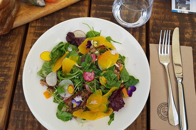 Full-Day Marlborough Catamaran Cruise with Wine Tour and Lunch - Who this tour fits best