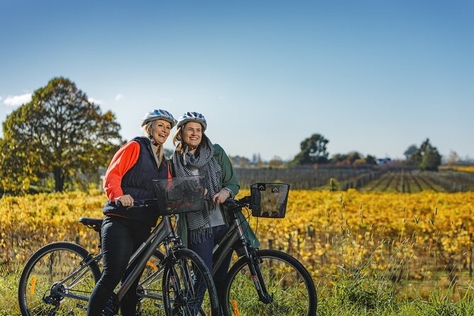 Full-Day Marlborough Wine Region Bike Hire - Key things to know before you pedal