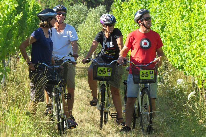 Full-Day Marlborough Wine Region Bike Hire - Full-Day Marlborough Bike Hire, what it really feels like
