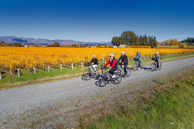 Full-Day Marlborough Wine Region Bike Hire - What if something goes wrong?