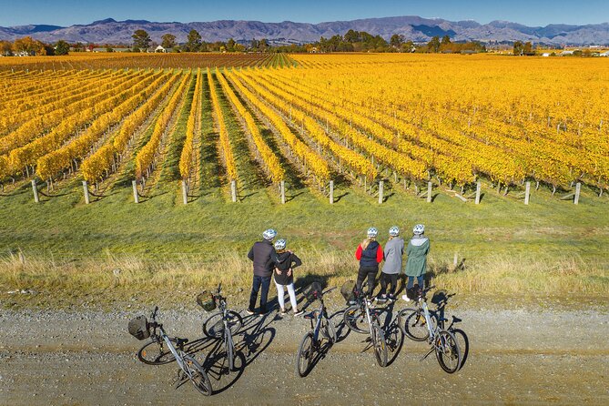 Full-Day Marlborough Wine Region Bike Hire - The best parts to prioritize on your route