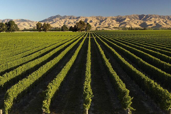Full-Day Marlborough Wine Tour from Blenheim - A Tour Route That Balances Big Producers and Smaller Stops