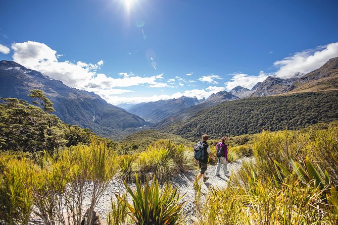 Full-Day Milford Sound Tour with Cruise and Walks from Te Anau - Milford Road highlights: Mirror Lakes, Homer Tunnel, and the big in-between moments