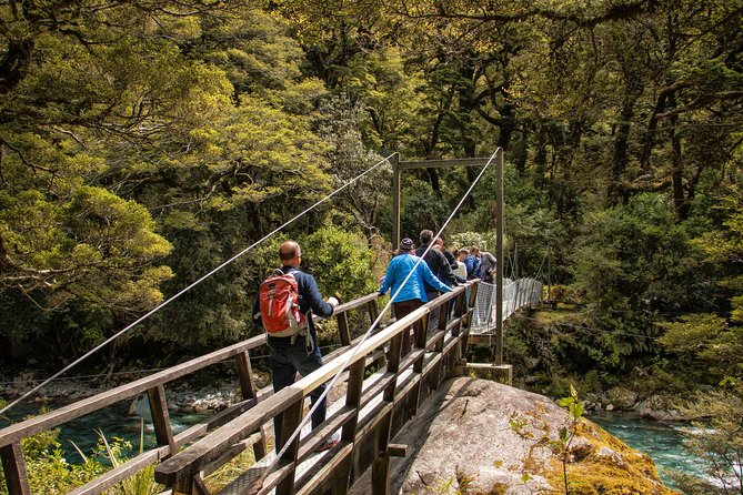 Full-Day Milford Sound Tour with Cruise and Walks from Te Anau - Timing, pacing, and how to plan your day