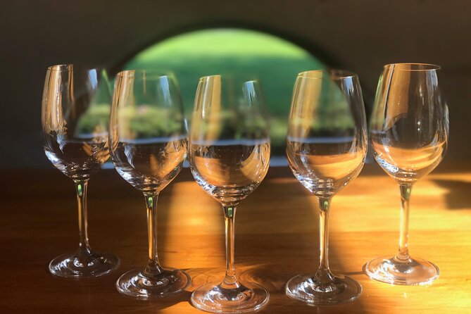Full-Day Omaka Aviation Heritage Center and Wine Tasting Tour - Saint Clair Family Estate and Wairau Valley Wine Tastings