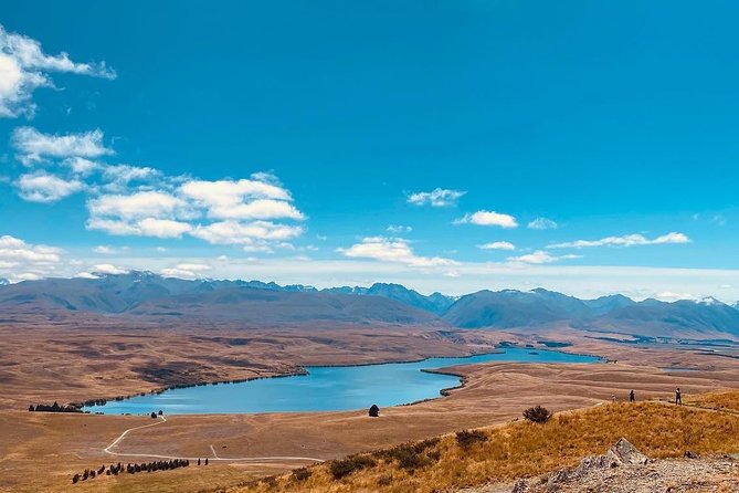 Full-Day Private Tour Mt.Cook from Christchurch - Lake Pukaki: Short, Scenic, and Worth a Quick Arrival Window