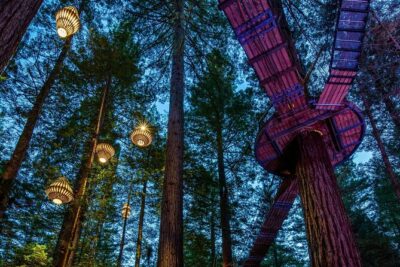 FULL DAY ROTORUA TOUR – Fully Customisable 13 hours Unlimited KMS