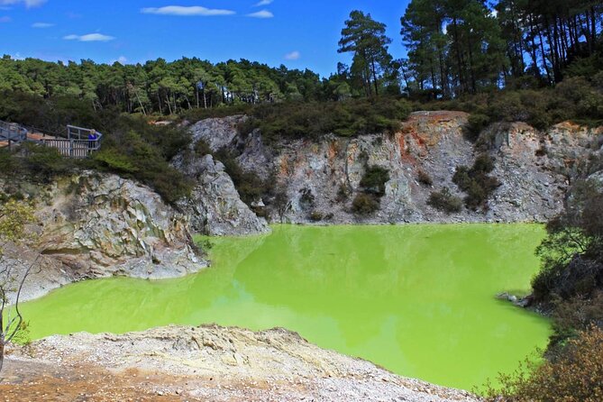 FULL DAY ROTORUA TOUR - Fully Customisable 13 hours Unlimited KMS - Price and logistics: is $579 per group good value?