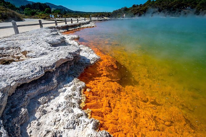 FULL DAY ROTORUA TOUR - Fully Customisable 13 hours Unlimited KMS - Who should book this Rotorua and Taupō private tour?
