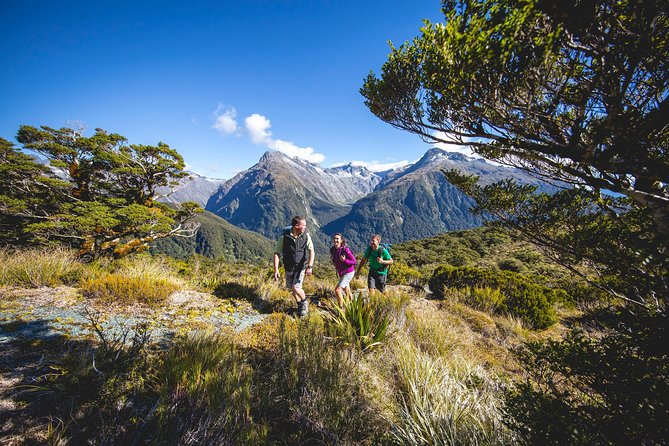 Full-Day Routeburn Track Key Summit Guided Walk from Te Anau - Key things you should know before you go