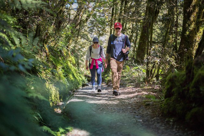 Full-Day Routeburn Track Key Summit Guided Walk from Te Anau - Routeburn Track to Key Summit: the one-day Great Walk hit