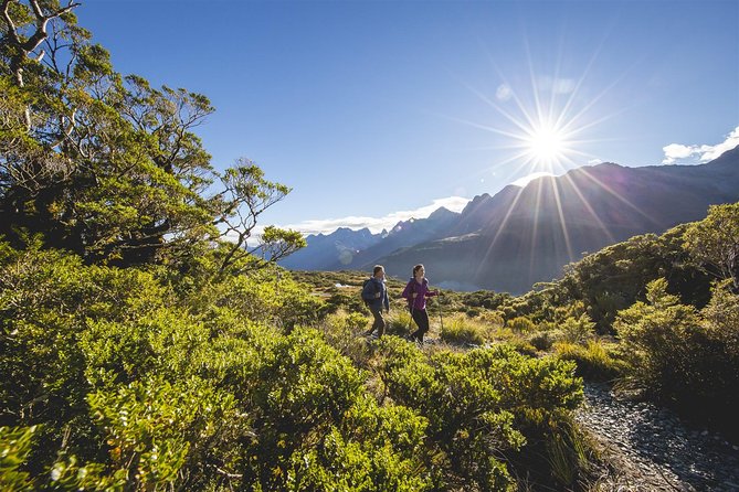 Full-Day Routeburn Track Key Summit Guided Walk from Te Anau - How guide stops make the trail easier to enjoy