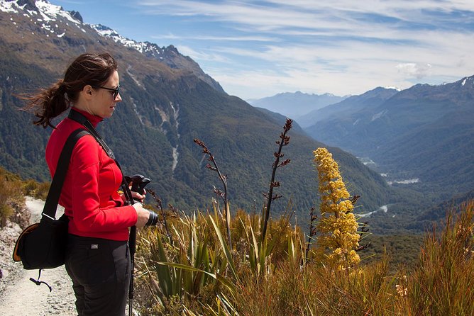 Full-Day Routeburn Track Key Summit Guided Walk from Te Anau - The return: descending back to Divide Shelter and back to Te Anau