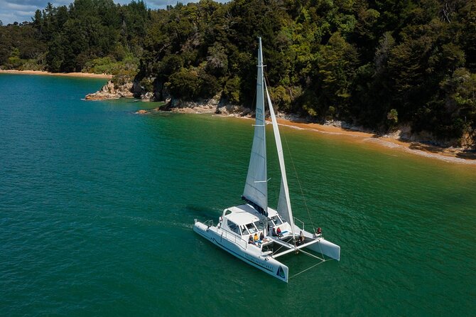 Full-Day Sailing Adventure in the Abel Tasman National Park - Anchorage Bay Picnic Lunch, Swimming, and Time on Land