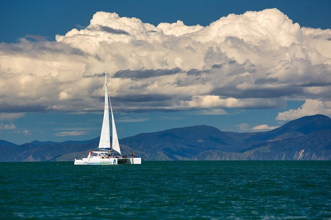 Full-Day Sailing Adventure in the Abel Tasman National Park - What to Pack and How to Stay Comfortable on a Sailing Day