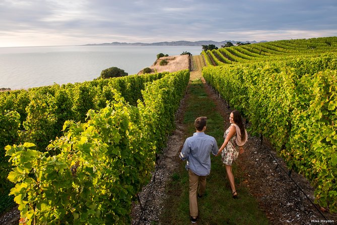 Full-Day Taste the Wines of Marlborough Tour - Key things that make this Marlborough day tick