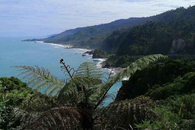 Full Day Tour of the Sights and Tastes of the West Coast - Key highlights worth your attention
