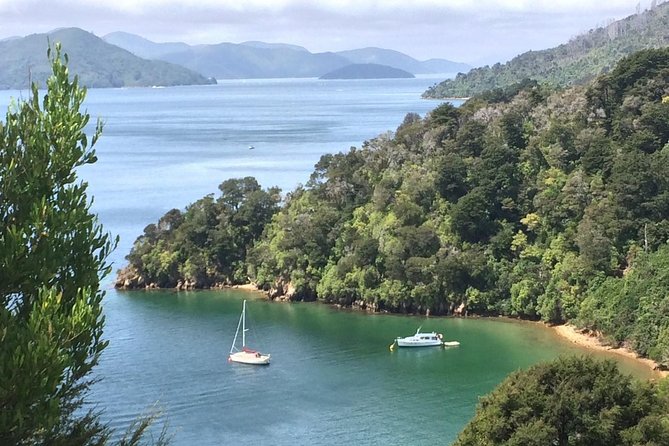 Full-Day Wine Gourmet and Scenic Delight Tour of Marlborough from Blenheim - The Vines Village: Your Longer Stop for Extra Tastings and Lunch Choices