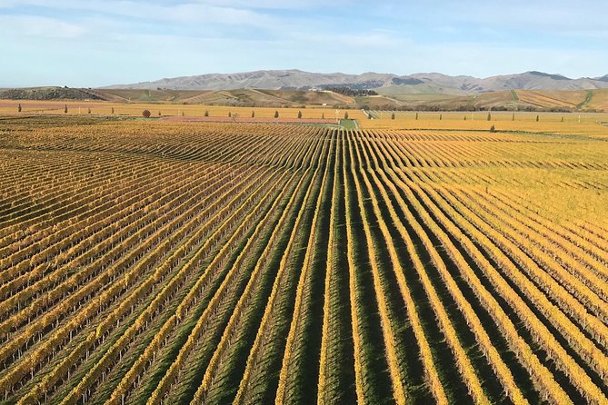 Full-Day Wine Gourmet and Scenic Delight Tour of Marlborough from Blenheim - Guide and Pace: Why Pamela’s Approach Works for Real Wine Days