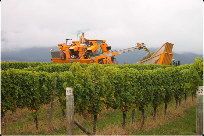 Full-Day Wine Gourmet and Scenic Delight Tour of Marlborough from Picton - Key Things That Make This Tour Feel Like a Real Day Out