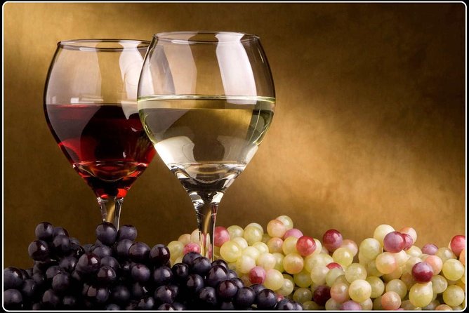 Full-Day Wine Gourmet and Scenic Delight Tour of Marlborough from Picton - Saint Clair Family Estate Vineyard Kitchen: Cellar Door, Indoors or Out
