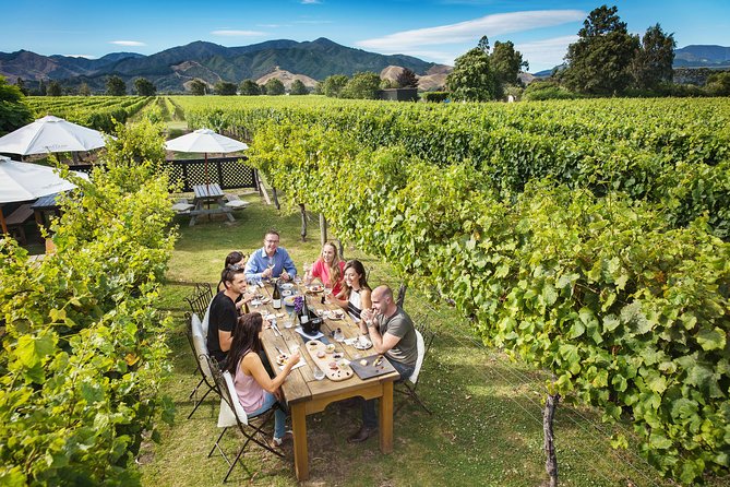 Full Day Winemakers Tour in Marlborough - Getting picked up, staying comfortable, and actually enjoying the ride