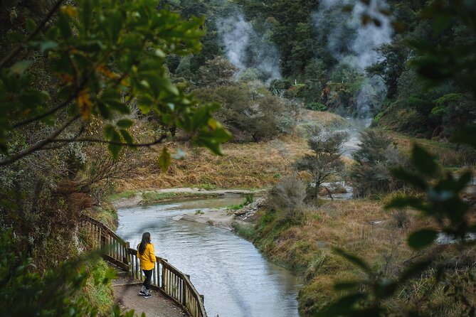 Full Waimangu Experience - Walk & Cruise - The walk down toward Lake Rotomahana: where effort meets payoff