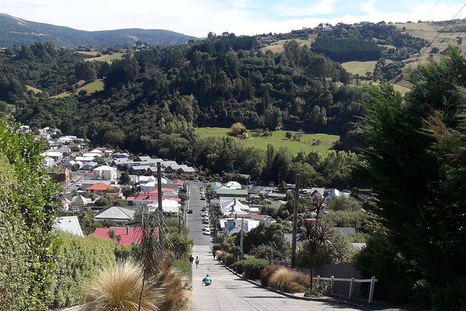 Garden and City tour - Dunedin Botanic Garden: plan for choices and walking