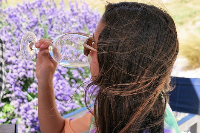 Gibbston Half-Day Private Wine Tour with Hotel Pickup - Price and value: what $222.79 buys you on this private tasting day