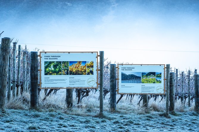 Gibbston Valley Wines - Winery Tour - Why This 45 Minute Gibbston Tour Fits Queenstown Schedules