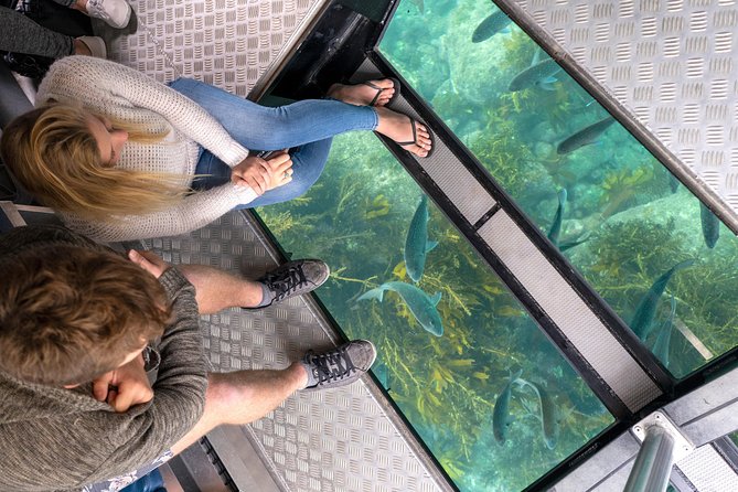 Glass Bottom Boat Whitianga Cathedral Cove Cruise - Key Details That Matter Before You Go