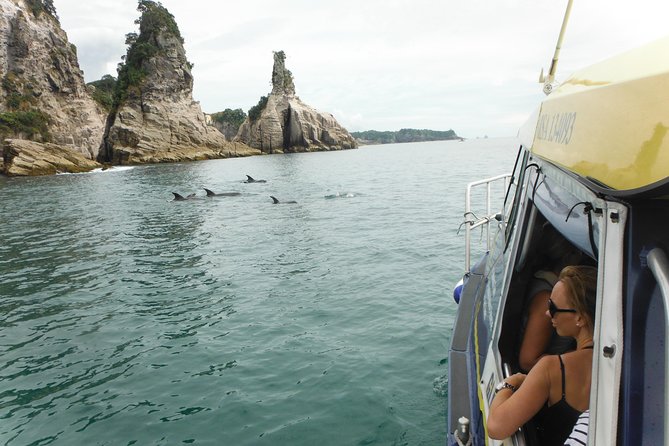Glass Bottom Boat Whitianga Cathedral Cove Cruise - Who This Tour Suits Best (And Who Might Skip It)