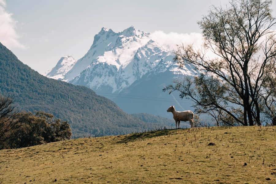 Glenorchy: 4WD Lord Of the Rings Half-Day Tour - Lake Wakatipu shore views and the 12 Mile Delta Ithilien Camp