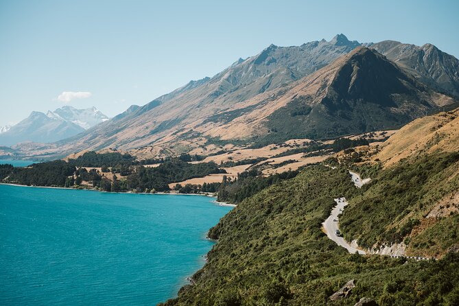 Glenorchy Kiwi Special Tour - Should you book the Glenorchy Kiwi Special Tour?