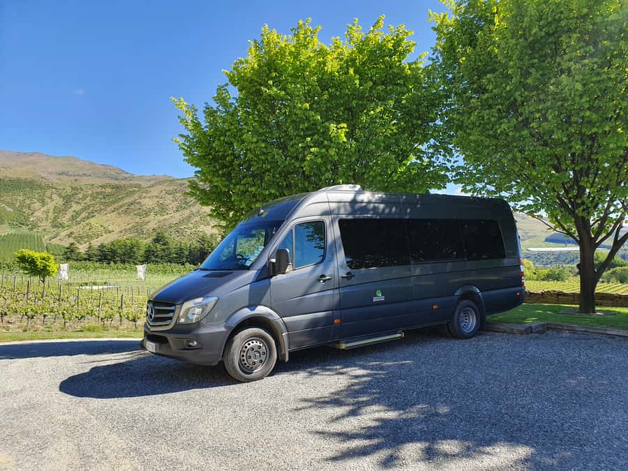 Glenorchy Kiwi Special Tour, from Queenstown - Comfort, Language Options, and Small Details That Affect Your Day