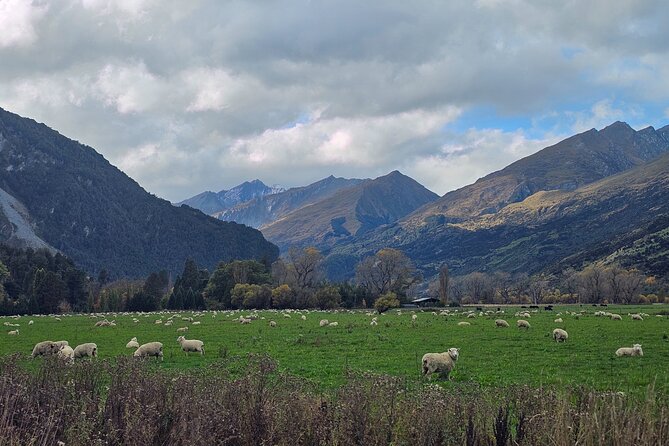 Glenorchy Private Day Trip from Queenstown: TravelnGo - Price and value: $351.87 per group up to 4 people