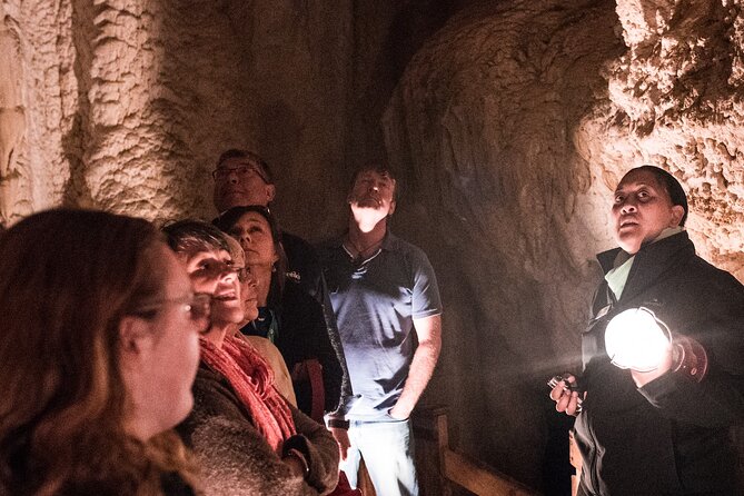 Glow Worm Caves Express Tour in Bay of Islands - Entering the Glow Worm Caves from Paihia Without Losing Your Whole Day
