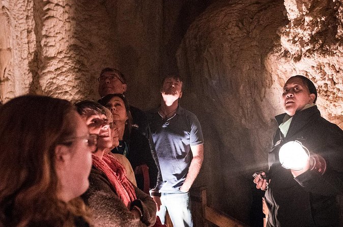 Glow Worm Caves Express Tour in Bay of Islands - The Ride Out: Comfortable Van or Small Bus, Plus Commentary