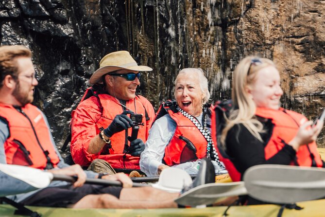 Glow Worm Caves Express Tour in Bay of Islands - Comfort, Walking, Toilets, and What Crowds Can Feel Like